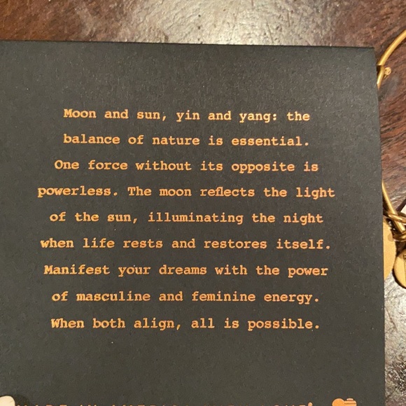Alex and Ani Cosmic Balance Bracelet - Picture 4 of 4